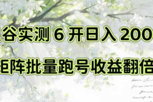 一台电脑就能做！灵谷实测6开日入200+，矩阵批量跑号收益翻倍【揭秘】