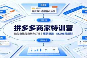 拼多多商家特训营：微付费强付费切车打法，爆款链接，SKU布局规划