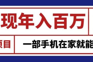 通过网创平台“卖项目”实现年入百万，一部手机在家就能做！