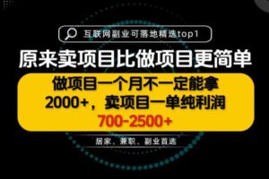 一单利润700-2.5K+，为什么我们要卖项目而不是做项目，我们普通人应该怎样开始？【揭秘】