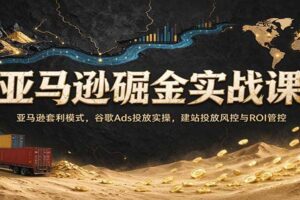 亚马逊掘金实战课:亚马逊套利模式,谷歌Ads投放实操,建站投放风控与ROI管控