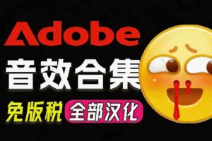 （20294期）请称爆硬盘！Adobe 和 达芬奇 官方提供的高品质免版税音效库， 10000+ 免费商用音效合集，已离线打包