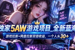 独家5AW游戏蓝海项目_游戏拉新+网盘拉新双倍收益，拉新一个30米