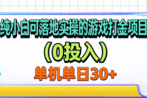 纯小白可落地实操的游戏打金项目（0投入）单机单号30+
