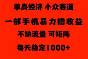 26年暴力单身经济,稳定日入500-1k,不缺流量,流量极大,冷门小众赛道,门槛低小白轻松上手【揭秘】