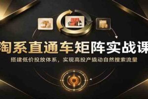 淘系直通车矩阵实战课：搭建低价投放体系，实现高投产撬动自然搜索流量
