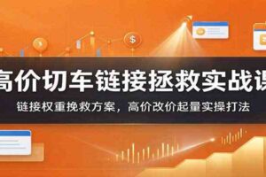 高价切车链接拯救实战课：链接权重挽救方案，高价改价起量实操打法
