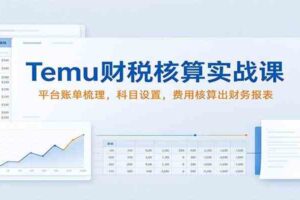 Temu财税核算实战课:平台账单梳理,科目设置,费用核算出财务报表