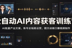 全自动AI内容获客训练营：AI批量产出文案，账号全链路运营，图文动画口播视频制作