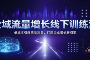 全域流量增长线下训练营：低成本引爆精准流量，打造企业增长新引擎