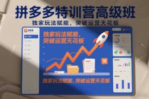 拼多多特训营高阶班，独家玩法赋能，突破运营天花板（更新261029）