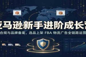 亚马逊新手进阶成长营:账号合规与品牌备案,选品上架 FBA 物流广告全链路运营教学