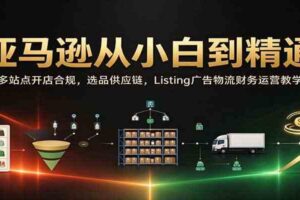 亚马逊从小白到精通：多站点开店合规，选品供应链，Listing广告物流财务运营教学