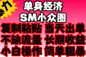 2026最新单身情感经济赛道，全程复制粘贴模板即可，当天出单，稳定日入500-1k，不缺流量，可批量矩阵，手机即可操作！【揭秘】