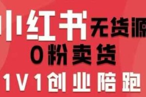 小红书无货源0粉电商课，开店准备、选品策略、笔记撰写、视频剪辑、数据分析、账号打造、资料文档（更新26年10月31日）